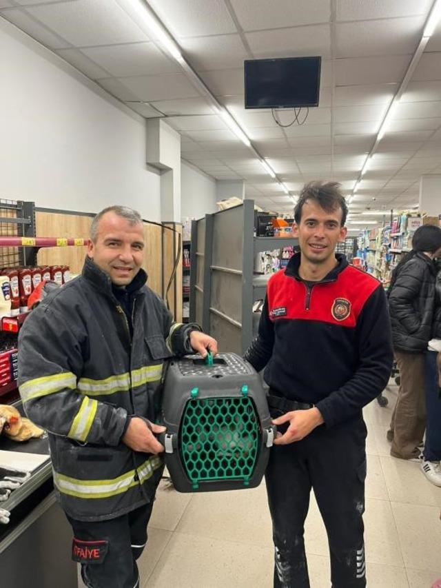 Havalandırma boşluğunda mahsur kalan kediyi itfaiye kurtardı 1