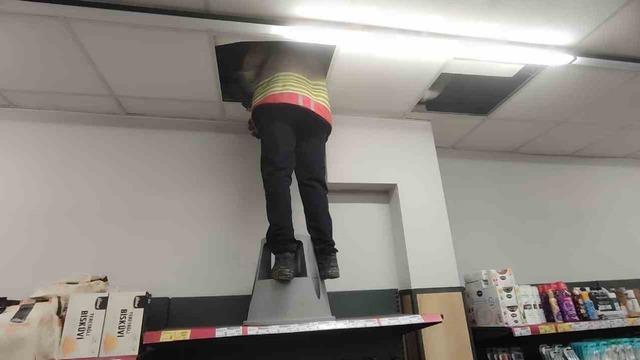 Havalandırma boşluğunda mahsur kalan kediyi itfaiye kurtardı