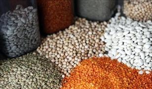 Egeli hububat&ccedil;ılar G&uuml;ney Kore pazarında b&uuml;y&uuml;meyi hedefliyor