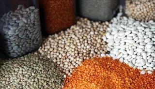 Egeli hububat&ccedil;ılar G&uuml;ney Kore pazarında b&uuml;y&uuml;meyi hedefliyor