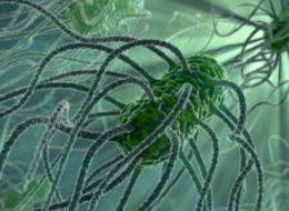 Antibiyotik direncine karşı küresel hamle