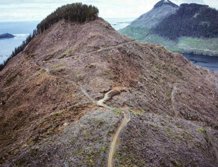 Dünyamızı böyle yok ediyoruz! G3