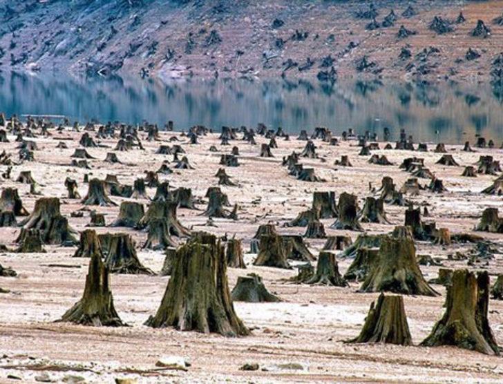 Dünyamızı böyle yok ediyoruz! G4