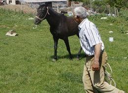 5 bin lira maaş alan çoban işi bıraktı