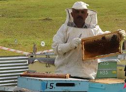 Anzer Balı'nın kilosu 850 lira