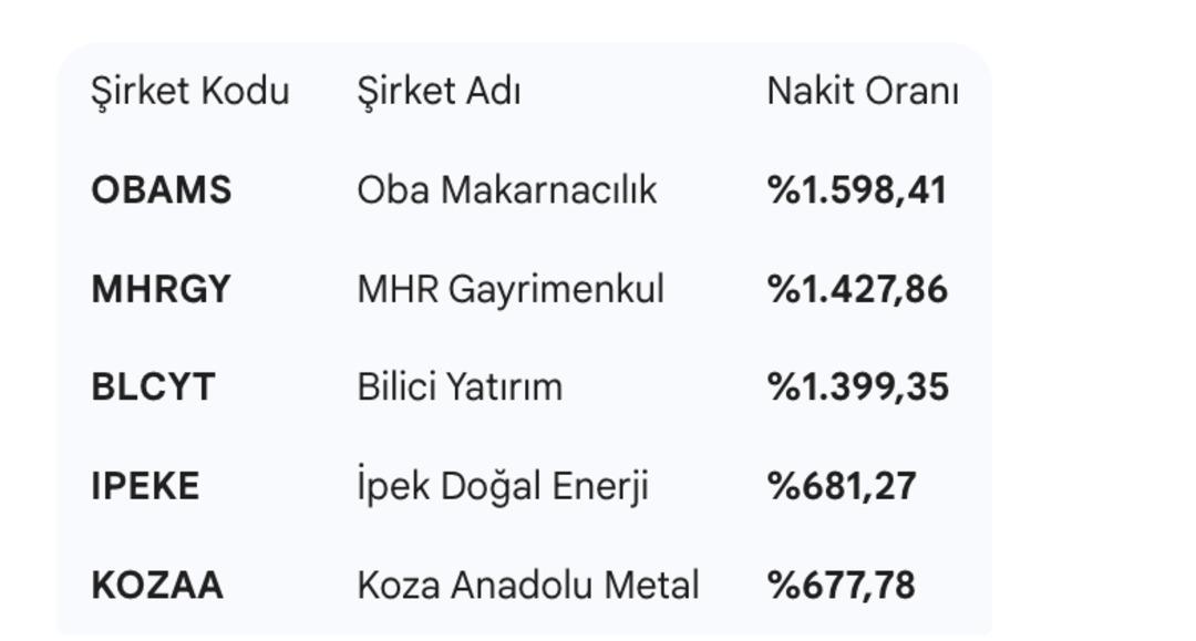 BIST&rsquo;in en zengin 5 şirketi a&ccedil;ıklandı! Listede s&uuml;rpriz isimler var 3