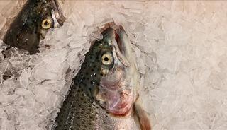 'Talep arttı' İhracatı 2025'te 520 milyon doları aştı! 34 &uuml;lkeye satıldı