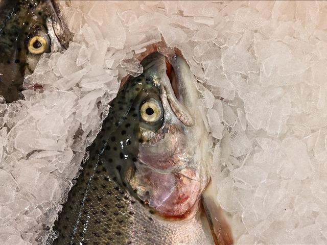 'Talep arttı' İhracatı 2025'te 520 milyon doları aştı! 34 &uuml;lkeye satıldı