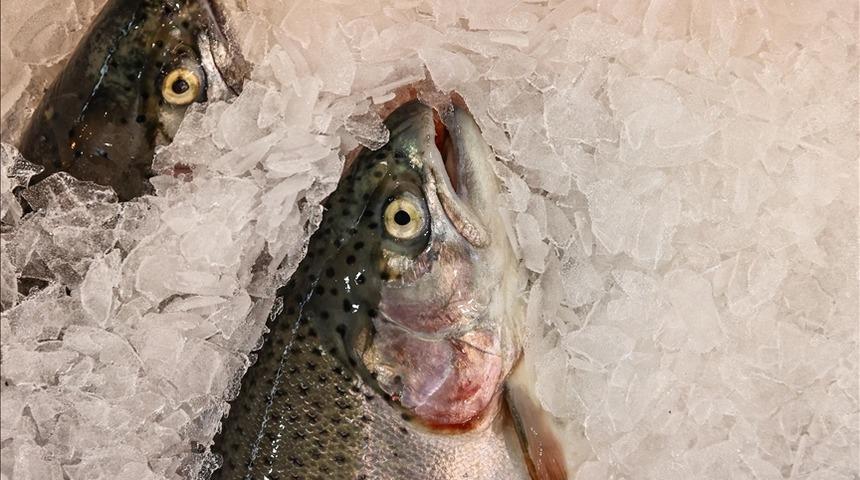 'Talep arttı' İhracatı 2025'te 520 milyon doları aştı! 34 &uuml;lkeye satıldı