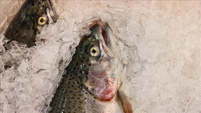 'Talep arttı' İhracatı 2025'te 520 milyon doları aştı! 34 ülkeye satıldı