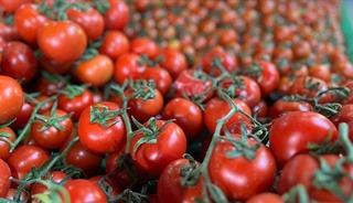 51 &uuml;lkeye satıldı '2026 yılı i&ccedil;in &ccedil;ok umutluyuz' 