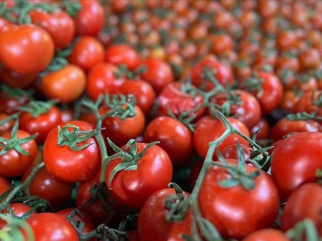 51 &uuml;lkeye satıldı '2026 yılı i&ccedil;in &ccedil;ok umutluyuz' 