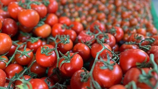 51 ülkeye satıldı '2026 yılı için çok umutluyuz' 