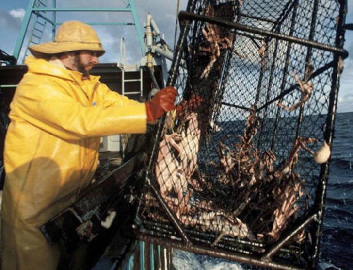 Bu işleri yapabilen zengin olur G3