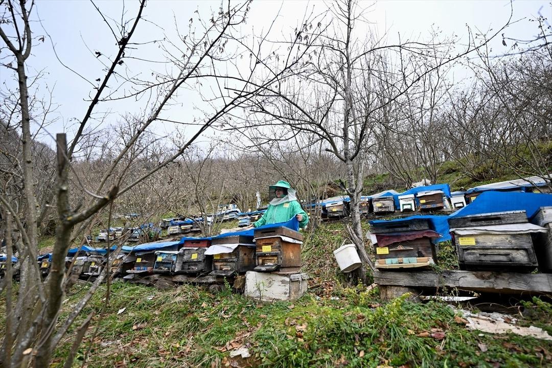  Bu iş t&uuml;m aileye bakar  Kurs ka&ccedil;ırmadı, 10 dan 300 e &ccedil;ıktı  &Ccedil;ok g&uuml;zel meslek  3