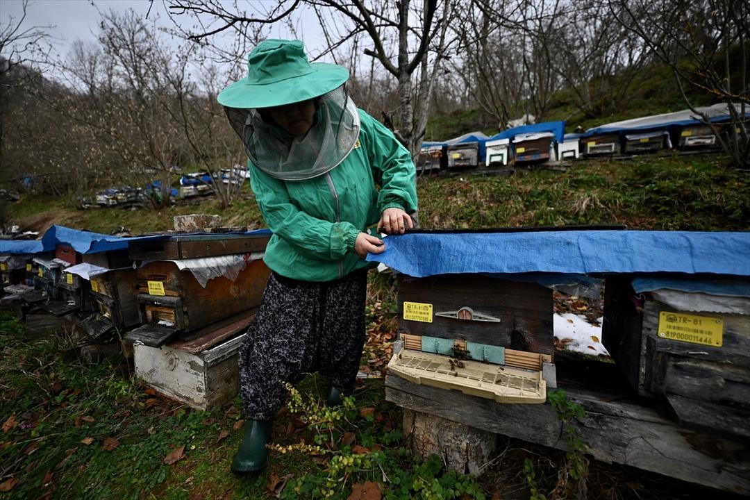  Bu iş t&uuml;m aileye bakar  Kurs ka&ccedil;ırmadı, 10 dan 300 e &ccedil;ıktı  &Ccedil;ok g&uuml;zel meslek  5