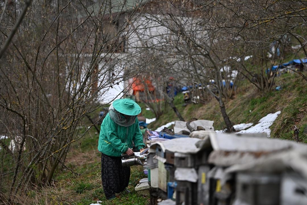  Bu iş t&uuml;m aileye bakar  Kurs ka&ccedil;ırmadı, 10 dan 300 e &ccedil;ıktı  &Ccedil;ok g&uuml;zel meslek  10