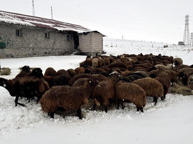Devlet desteğiyle sayı 3 yılda y&uuml;zde 50'den fazla arttı '&Ccedil;ok cazip'