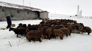 Devlet desteğiyle sayı 3 yılda yüzde 50'den fazla arttı 'Çok cazip'