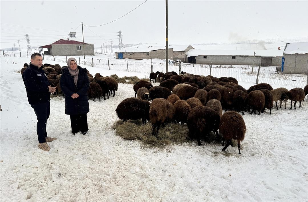 Devlet desteğiyle sayı 3 yılda yüzde 50 den fazla arttı Çok cazip 1