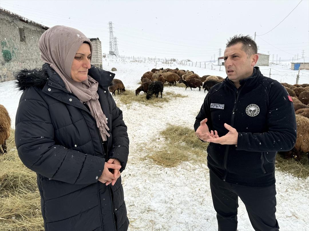 Devlet desteğiyle sayı 3 yılda yüzde 50 den fazla arttı Çok cazip 2