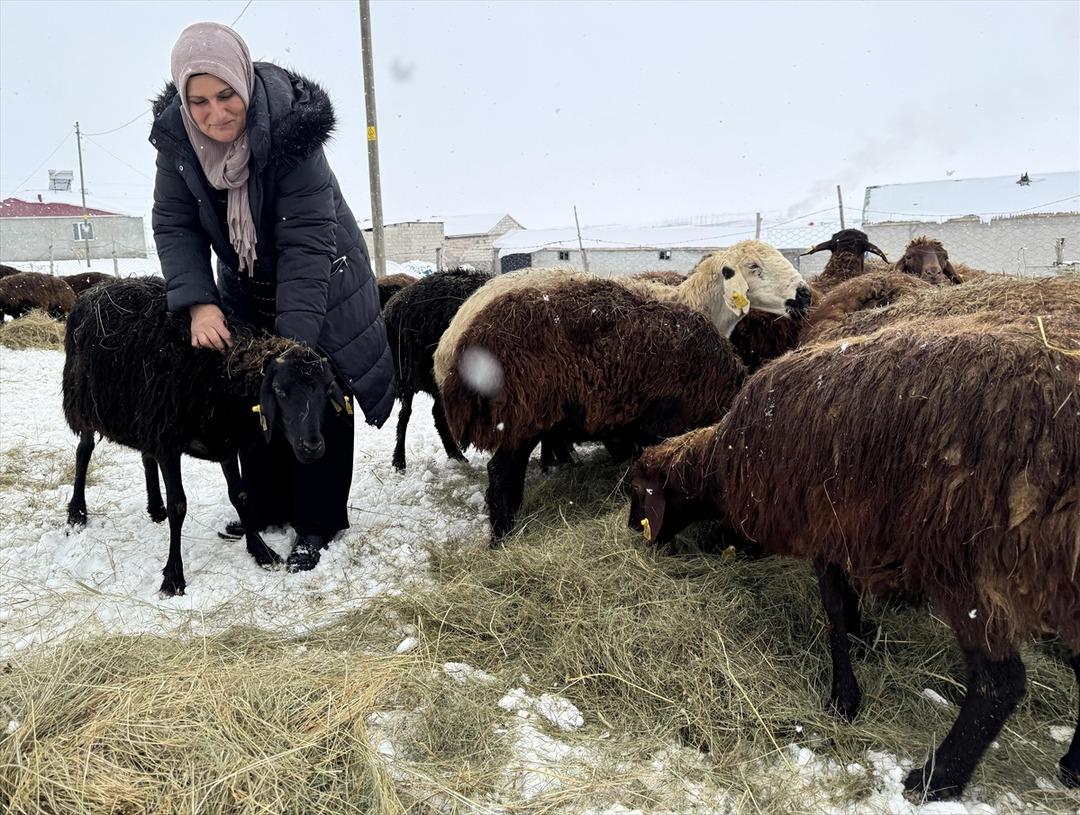 Devlet desteğiyle sayı 3 yılda yüzde 50 den fazla arttı Çok cazip 3