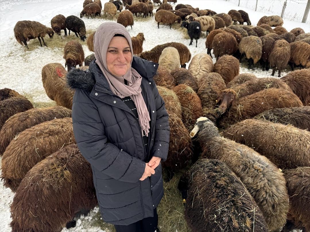 Devlet desteğiyle sayı 3 yılda yüzde 50 den fazla arttı Çok cazip 4