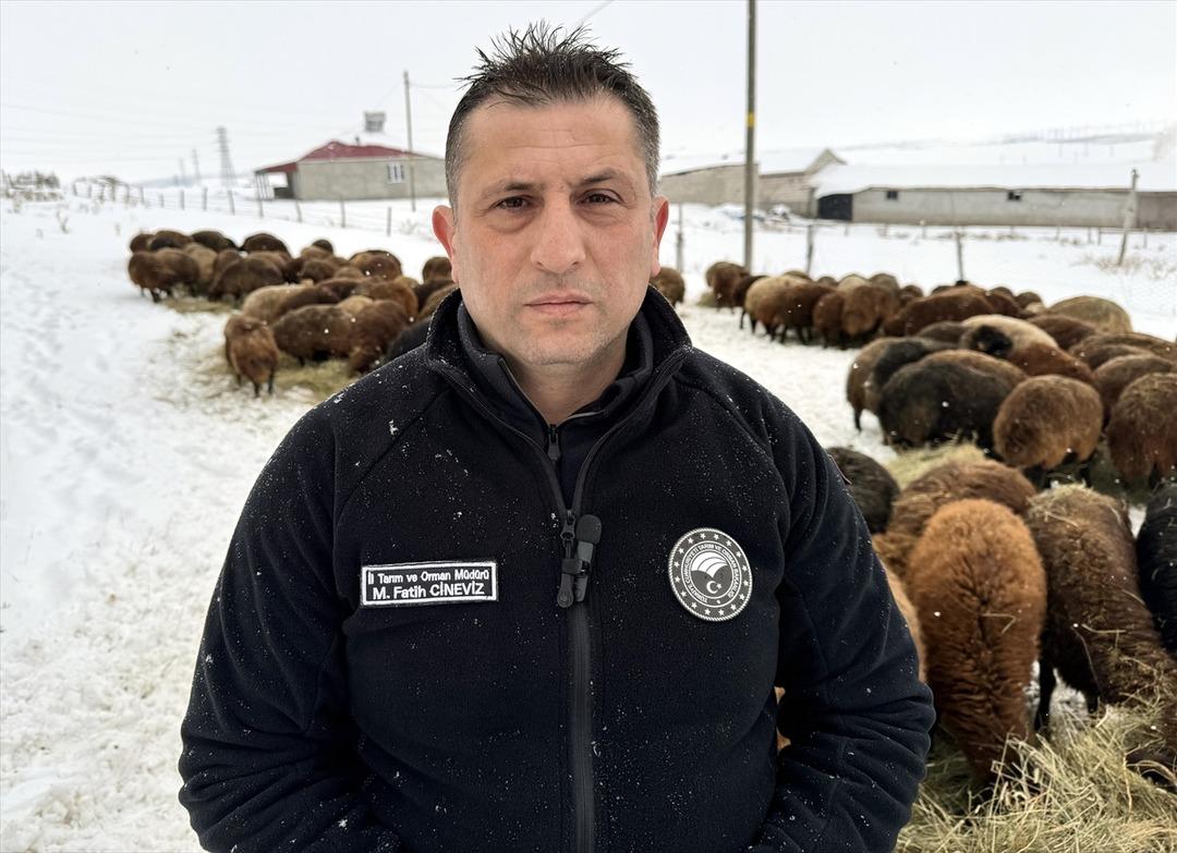 Devlet desteğiyle sayı 3 yılda yüzde 50 den fazla arttı Çok cazip 5