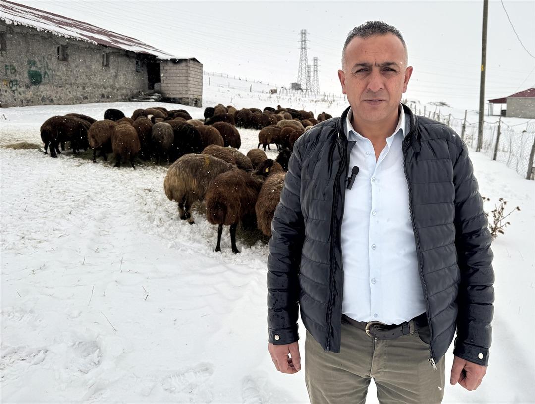 Devlet desteğiyle sayı 3 yılda y&uuml;zde 50 den fazla arttı  &Ccedil;ok cazip  6