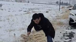 Çermik’te yaban hayvanları için doğaya yem bırakıldı