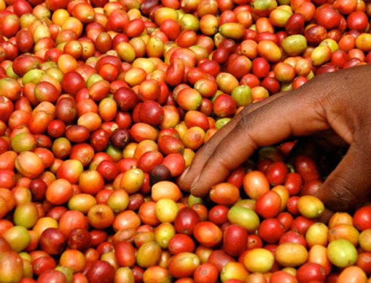 Parasını ona yatıran bin pişman! G2