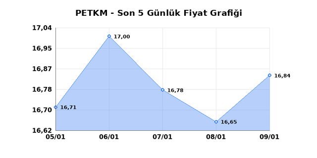 PETKİM PETROKİMYA (PETKM) 12 Ocak Pazartesi 2026 G&uuml;nl&uuml;k Teknik Analiz 1