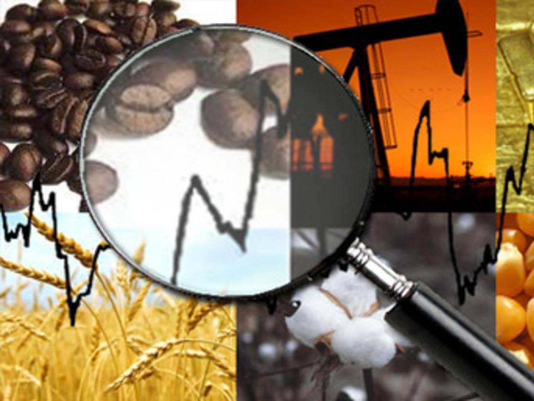 Parasını ona yatıran bin pişman!