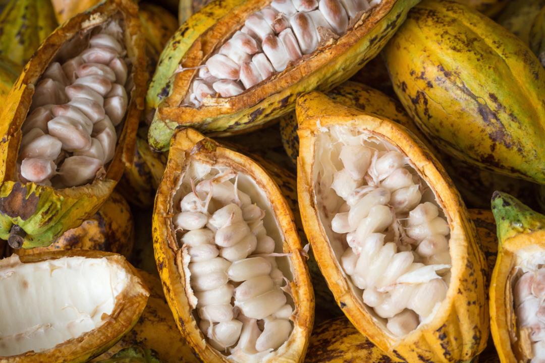 Tarihte İnsanların Para Yerine Kullandığı En Garip Şeyler 2