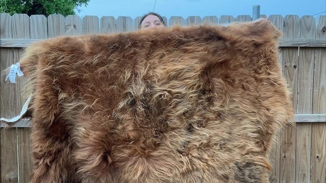 Tarihte İnsanların Para Yerine Kullandığı En Garip Şeyler 8