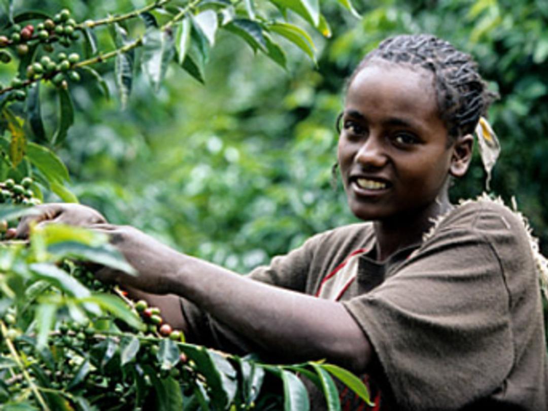 İşte d&uuml;nyanın en hızlı b&uuml;y&uuml;yen &uuml;lkesi