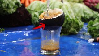 Hastalıklarla savaşan karaturp mucizesi: 'Babaanne ilacı' olarak biliniyor!