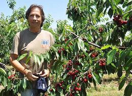 Kıraç araziyi alıp cennet yaptı, yılda 3 milyon lira kazanıyor