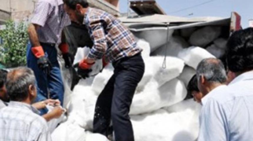 Dağdan getirdi! Torbasını 3 liradan sattı