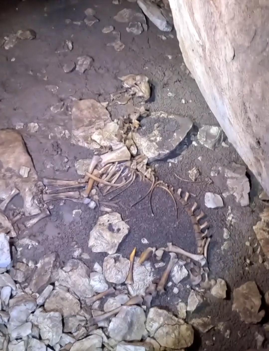 Keşif i&ccedil;in girdikleri mağarada g&ouml;rd&uuml;kleri manzara şaşkına &ccedil;evirdi! 5