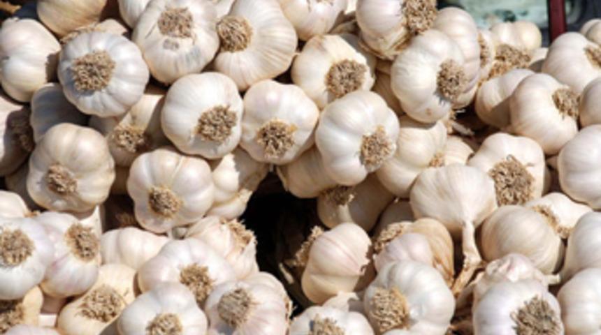 Sarımsakta ciddi uyarı