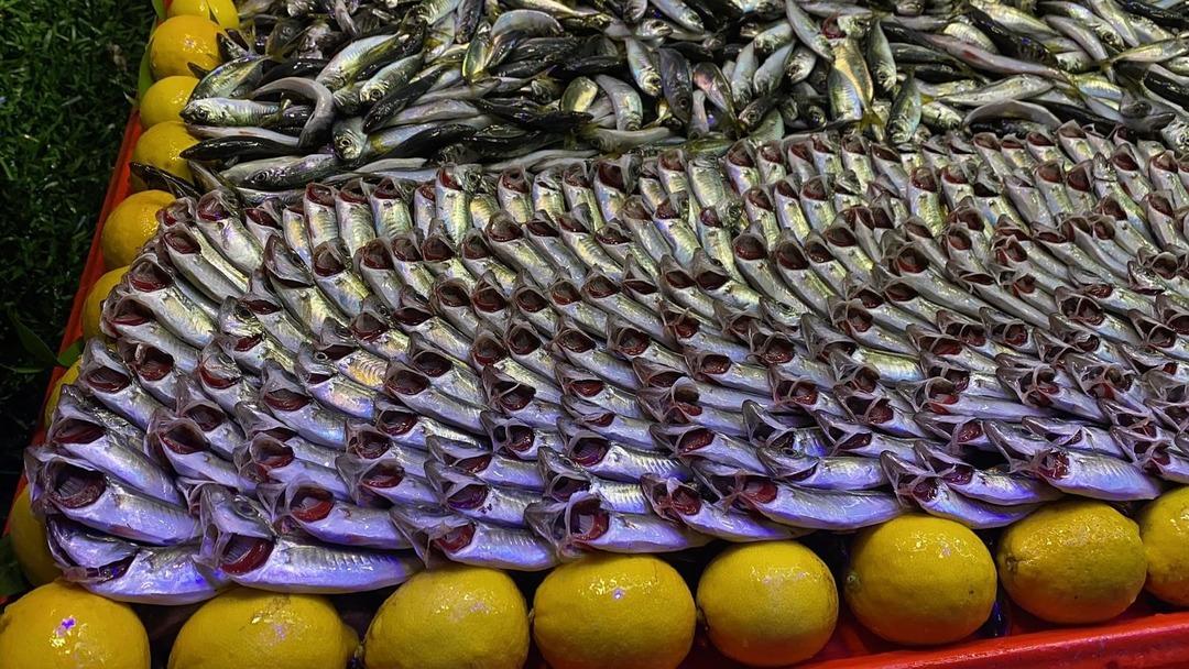 Hamsiden başka bilmiyoruz Fiyatlar artınca Yenecek tek balık tavsiyesi geldi 1
