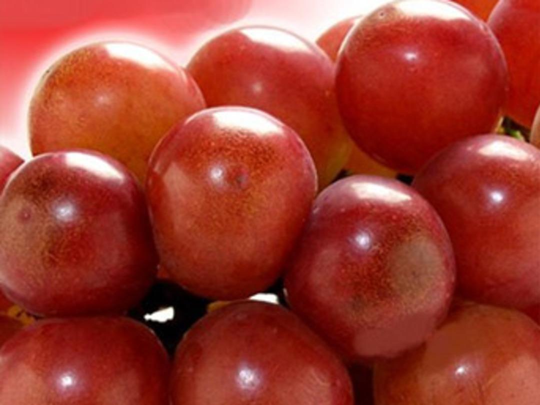 Yemeden &ouml;nce bir kez daha d&uuml;ş&uuml;n&uuml;n