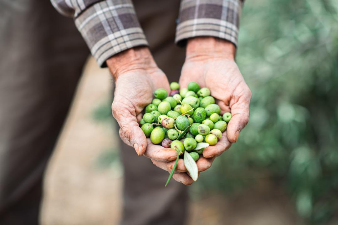 Şirket sahibi mahkemeye gitti noktayı koydu! Dev firmadan ikinci kez iflas kararı 4
