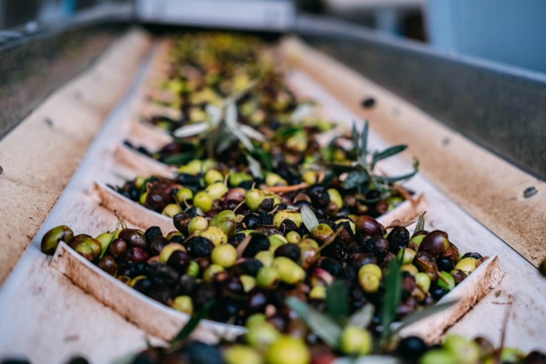 Şirket sahibi mahkemeye gitti noktayı koydu! Dev firmadan ikinci kez iflas kararı 1