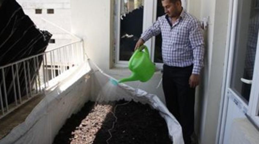 Balkonunda 70 bin solucan besliyor!