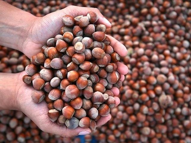 En fazla Almanya'ya satıldı! 614 milyon doları aşkın gelir