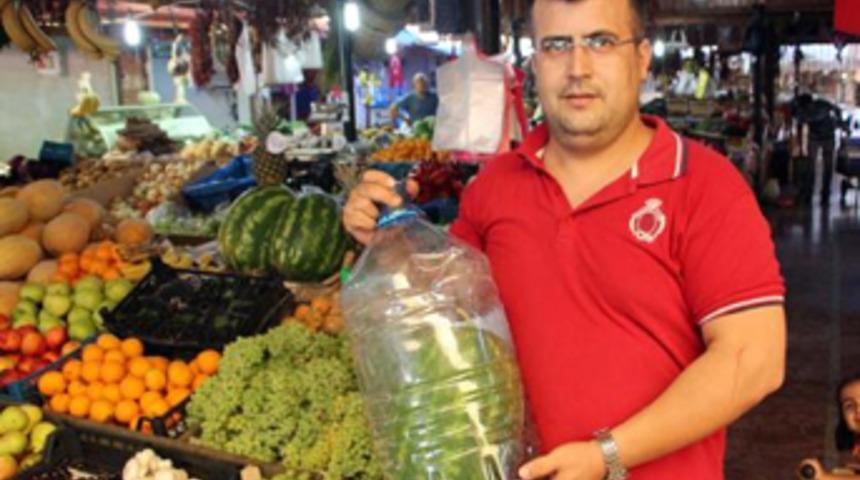 Damacanada yetişen karpuzun tanesi 250 lira