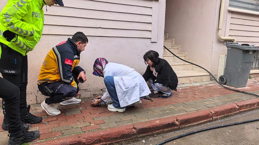 Bursa'da yangında can pazarı... &Ccedil;ocuklar tahliye edildi, kediler kurtarıldı