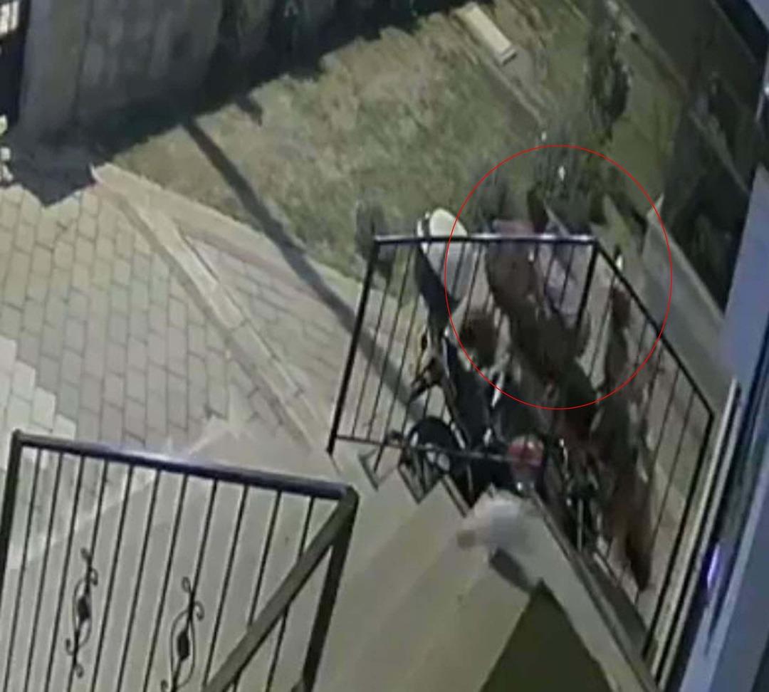 Tuğba Yavaş ın sır &ouml;l&uuml;m&uuml;! Davada &ccedil;arpıcı iddia: "G&ouml;n&uuml;l ilişkisi olduğunu s&ouml;yl&uuml;yordu" 3